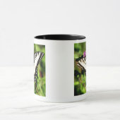 Tiger-Frack-Schmetterling. Papilio glacus. Tasse (Zentrum)