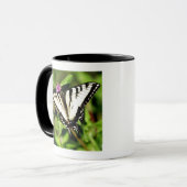 Tiger-Frack-Schmetterling. Papilio glacus. Tasse (Vorderseite Links)