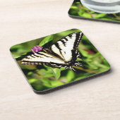 Tiger-Frack-Schmetterling. Papilio glacus. Untersetzer (Linke Seite)