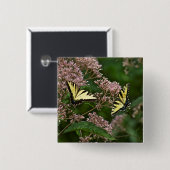 Tiger-Frack-Schmetterlinge auf Joe Pye Weed Button (Vorne & Hinten)