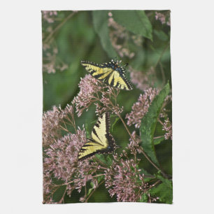 Tiger-Frack-Schmetterlinge auf Joe Pye Weed Handtuch