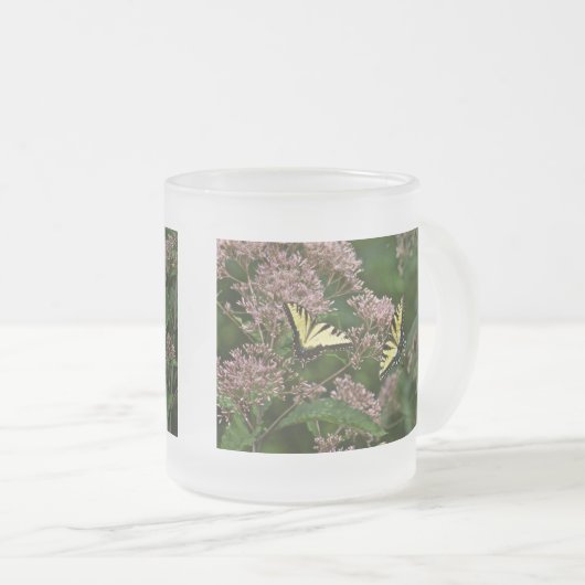 Tiger-Frack-Schmetterlinge auf Joe Pye Weed Mattglastasse (VorderseiteRechts)