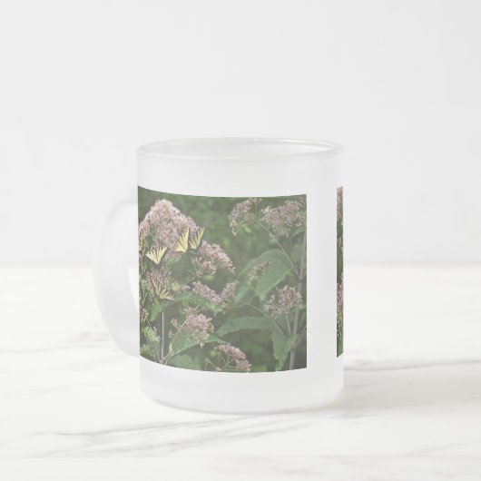 Tiger-Frack-Schmetterlinge auf Joe Pye Weed Mattglastasse (Vorderseite Links)