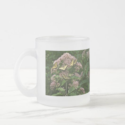Tiger-Frack-Schmetterlinge auf Joe Pye Weed Mattglastasse (Links)