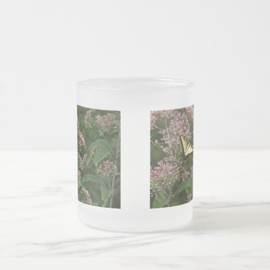 Tiger-Frack-Schmetterlinge auf Joe Pye Weed Mattglastasse (Mittel)