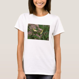 Tiger-Frack-Schmetterlinge auf Joe Pye Weed T-Shirt