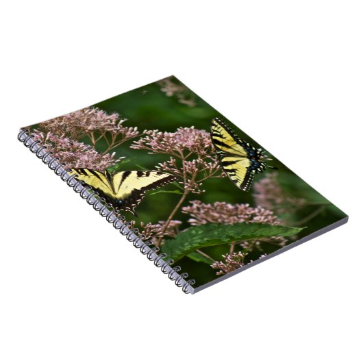 Tiger-Frack-Schmetterlinge auf Unkraut Joes Pye Notizblock (Rechte Seite)