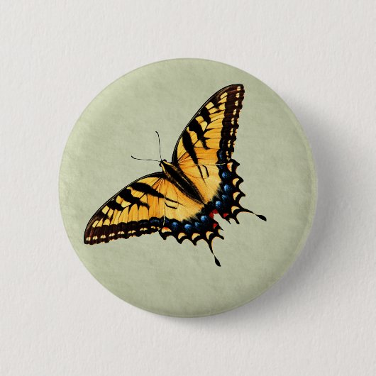 Tiger-Frack-Schmetterlings-Knopf Button (Vorderseite)