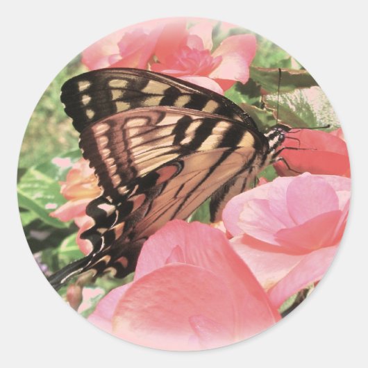 Tiger Frack Stickers (Vorderseite)