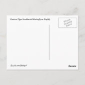 Tiger-Frack über Taglilie Postkarte (Rückseite)