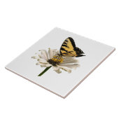 Tiger-Frack über Weißes Zinnia Fliese (Seite)