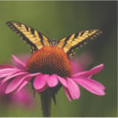 Tiger-Frack-Vinyl-Aufkleber mit Sonderschnitt Aufkleber (Vorderseite)