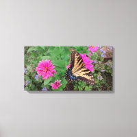 Tiger Frack zwischen rosa und violetten Blumen