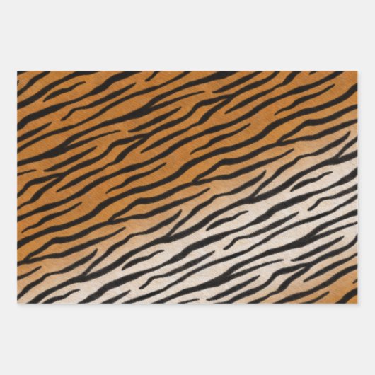 Tiger Fur Realistisch gestreifte Wildtierdrucke Geschenkpapier Set (Vorderseite 3)