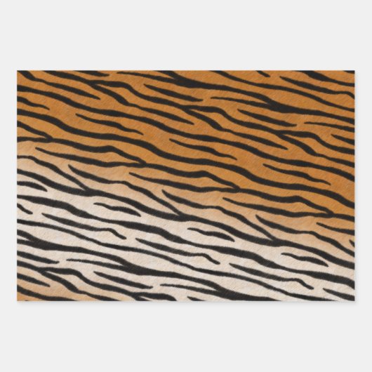 Tiger Fur Realistisch gestreifte Wildtierdrucke Geschenkpapier Set (Vorderseite 2)