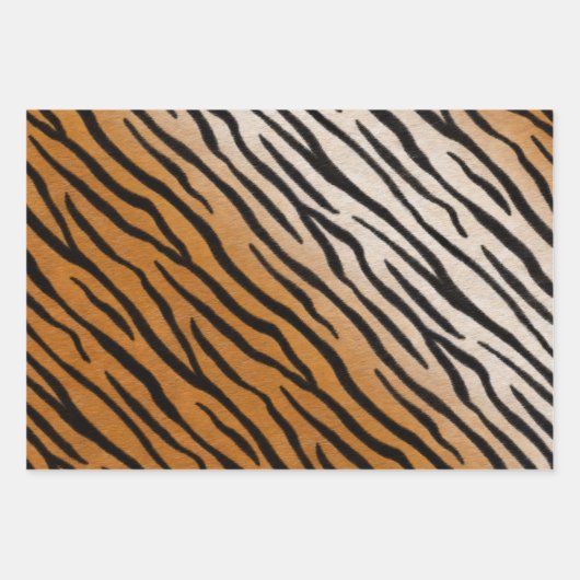 Tiger Fur Realistisch gestreifte Wildtierdrucke Geschenkpapier Set (Vorderseite)