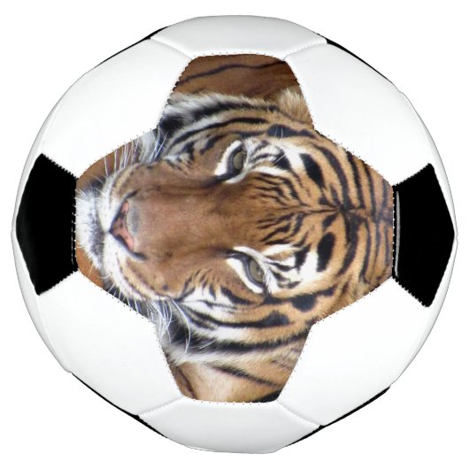 Tiger - Fußball (Gedreht)