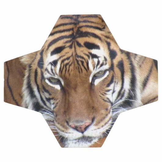 Tiger - Fußball (Flach)