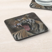 Tiger gähnendes CUB Untersetzer (Linke Seite)