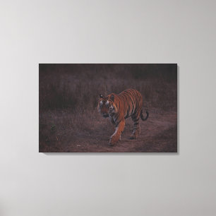 Tiger geht entlang Spur Leinwanddruck