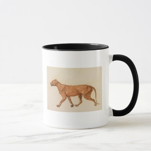 Tiger Georges Stubbs |, seitliche Ansicht, Haut Tasse (Rechts)