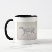 Tiger Georges Stubbs |: Seitliche Ansicht, Tasse (Links)
