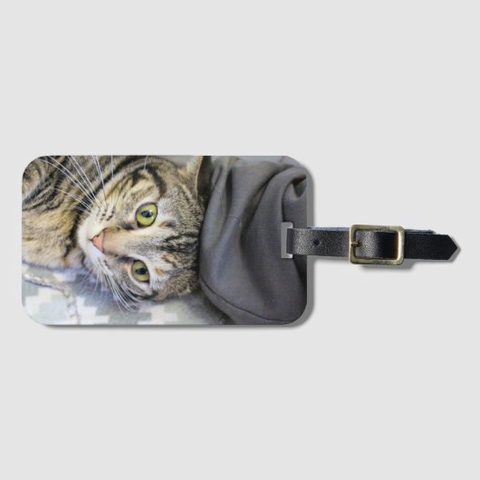 Tiger Gepäckanhänger (Vorderseite (Horizontal))
