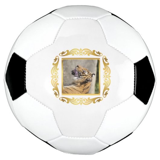 Tiger Gerahmt Fußball (Gedreht)