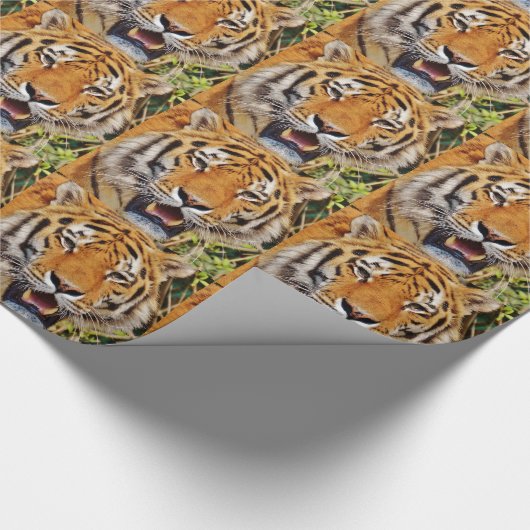 Tiger Geschenkpapier (Ecke)