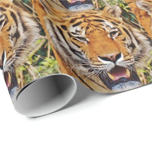 Tiger Geschenkpapier (Rolleneckpunkt)