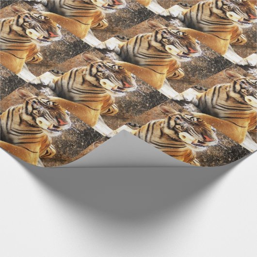Tiger Geschenkpapier (Ecke)