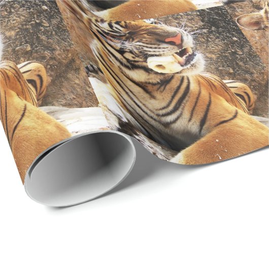 Tiger Geschenkpapier (Rolleneckpunkt)