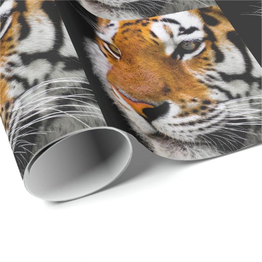 Tiger Geschenkpapier (Rolleneckpunkt)