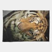 Tiger Geschirrtuch (Horizontal)