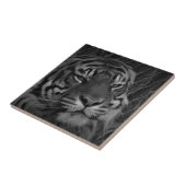 Tiger-Gesicht Kleines Foto Fliese (Seite)