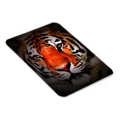 Tiger-Gesicht Motivationskunstwerk Magnet (Rechte Seite)