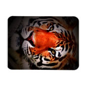 Tiger-Gesicht Motivationskunstwerk Magnet (Horizontal)