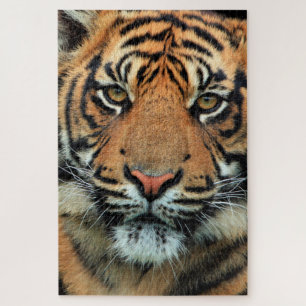 Tiger - Gesicht - Puzzle