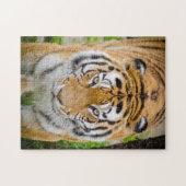 Tiger-Gesicht Puzzle (Horizontal)