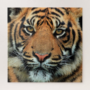 Tiger - Gesicht - Puzzle