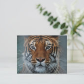 Tiger-Gesichts-Postkarte Postkarte (Stehend Vorderseite)
