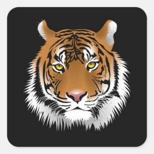 Tiger-Gesichts-Quadrat-Aufkleber Quadratischer Aufkleber