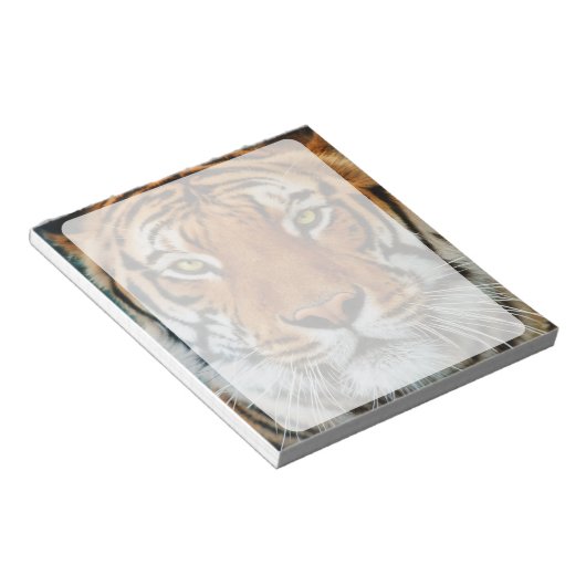 Tiger-Gesichtsfotografie Notizblock (angewinkelt)