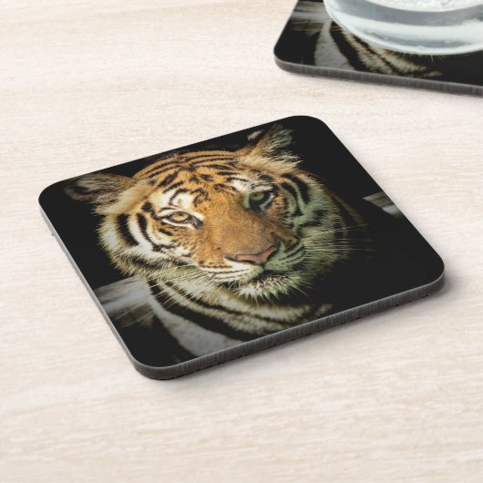 Tiger Getränkeuntersetzer (Linke Seite)