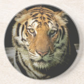 Tiger Getränkeuntersetzer (Vorne)