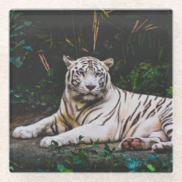 Tiger Glasuntersetzer