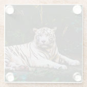 Tiger Glasuntersetzer (Rückseite)