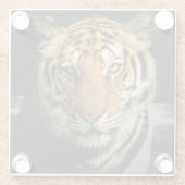 Tiger Glasuntersetzer (Rückseite)