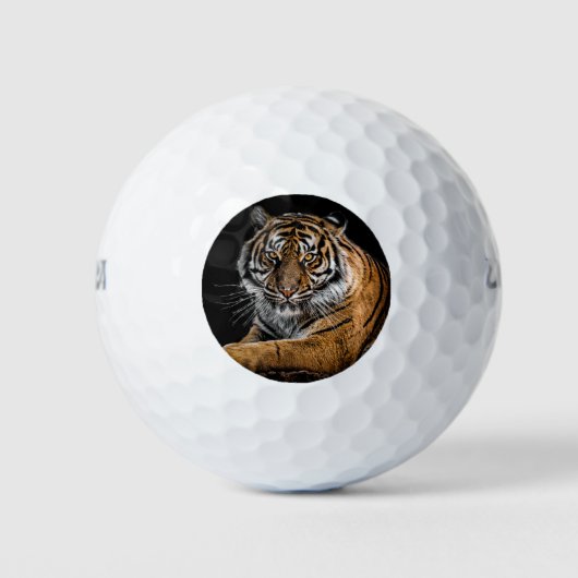 Tiger GOLF BALLS Golfball (Vorderseite)