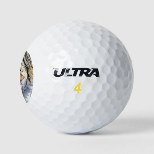 Tiger Golfball (Logo)